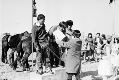№33