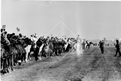 №38