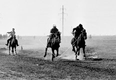 №42