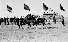 №43