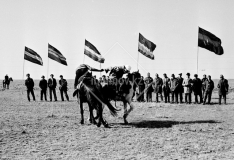 №45