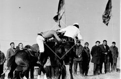 №48