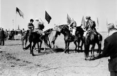 №51
