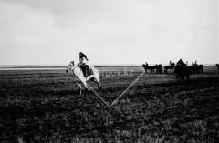 №10