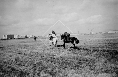 №11
