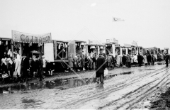 №12