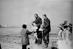 №29