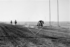 №13