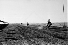 №15
