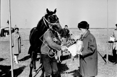 №18