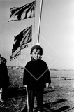 №11