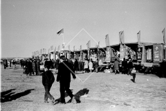 №13