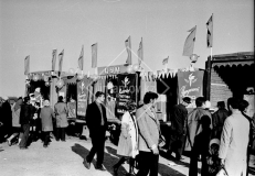 №14