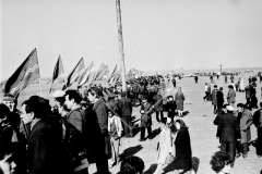 №19
