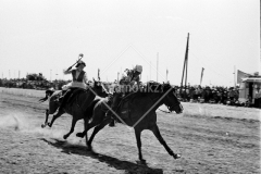 №11