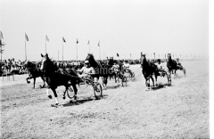 №16