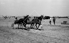 №18