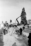 №12
