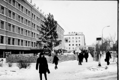 №17