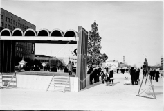 №23