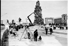 №29