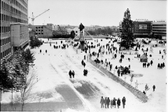 №31
