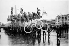 №11