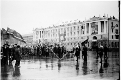 №33