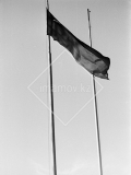 №05