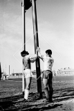 №10