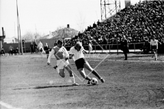 №11