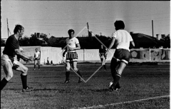 №13