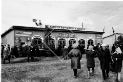 №11