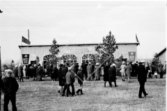 №13