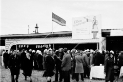 №19