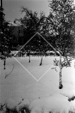 №02