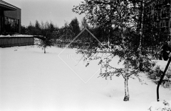 №03