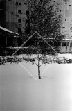 №06