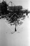 №10