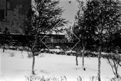 №12
