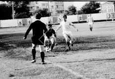№11