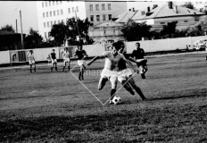 №12