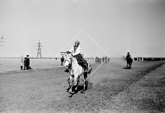 №06