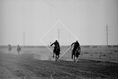 №08