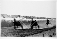 №10