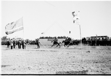 №15