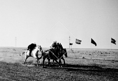№19