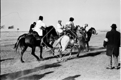 №24