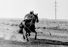 №33