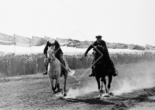 №34